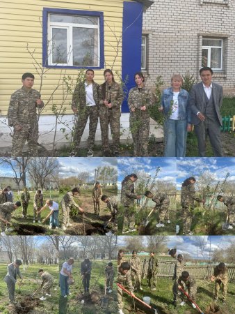 Мектеп аумағына “Өрік ағаштары”, ауылымыздың алма бағына “Алма ағаштары” отырғызылды